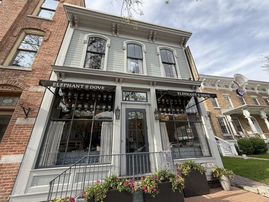 Elephant and The Dove by null