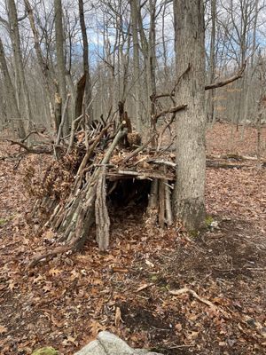 Cranberry Lake Preserve by null