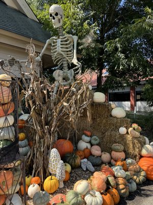 The Green Cauldron Apothecary