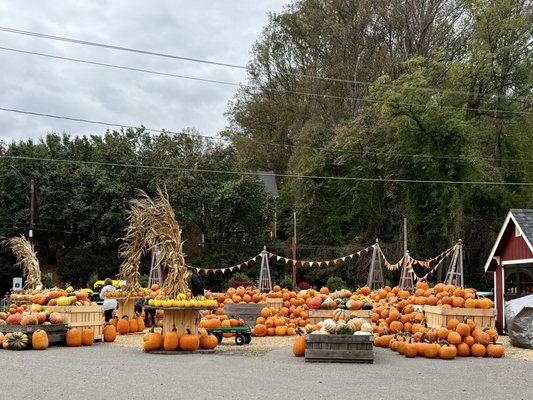 Depaul's Urban Farm by null