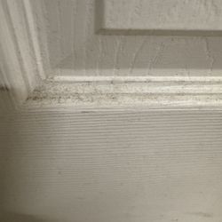 Whispering Pines Condos - Dirt build up on the bedroom and bathroom doors