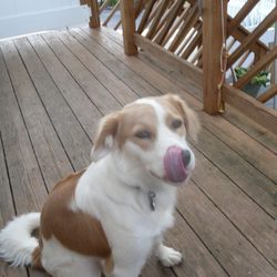 John J Muller Plumbing & Heating