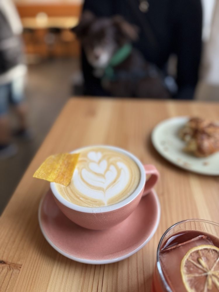 Slow Haste Coffee Logo