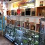 Sunfroot Cannabis Dispensary