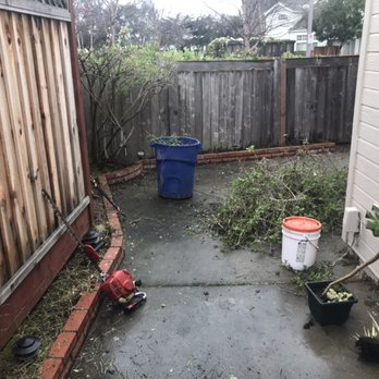 Rios Landscaping Services - Cleaning plant debris - Landscaping Near Me Rios Landscaping Services - Cleaning plant debris - Landscaping Near Me