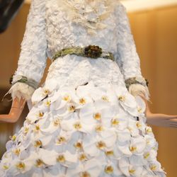Doral Orchids Florals & Events
