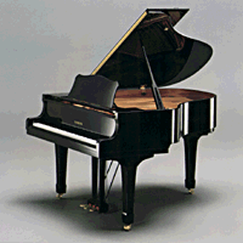 Carr's Piano Service - Musical Instruments & Teachers Near Me - Elizabethtown, Pennsylvania Carr's Piano Service - Musical Instruments & Teachers Near Me - Elizabethtown, Pennsylvania