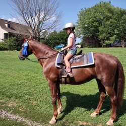Pine Ridge Stable's - Pupil and Awesome the mare at our camp show.