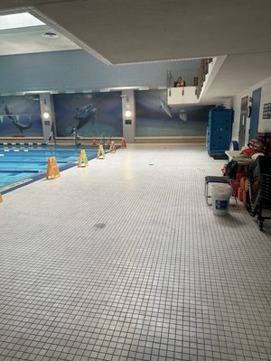 Chelsea Pool by null