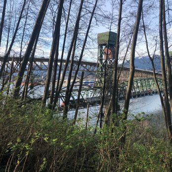 Montrose Park - View from woods~ - Parks Near Me - Burnaby, British Columbia Montrose Park - View from woods~ - Parks Near Me - Burnaby, British Columbia
