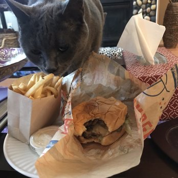 Burgermaster - My cat likes it - Burgers Near Me - Bothell, Washington Burgermaster - My cat likes it - Burgers Near Me - Bothell, Washington