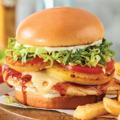 Red Robin Gourmet Burgers and Brews by null