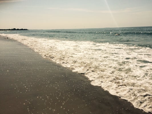 South Shore Beach by null