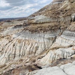 The Hoodoos - The Hoodoos