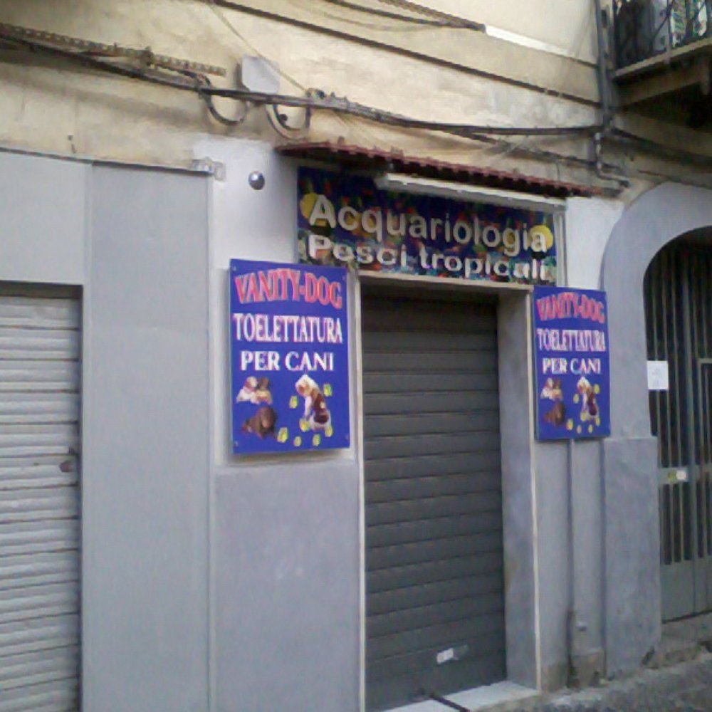 SEI DI VICENZA | Facebook, image size:1000x1000