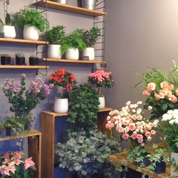 Avril Mai - Florists Near Me - Talence, 33