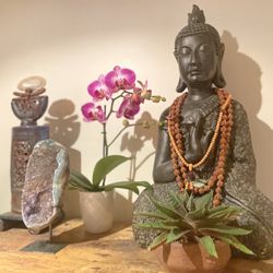 The Zen Den