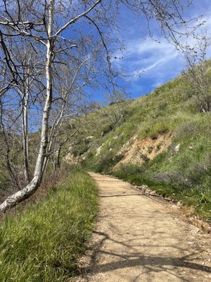 Marshall Canyon Regional Park by null