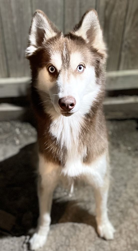 W E CARE PET SITTERS Updated June 2024 11 Photos 10314 Beverly