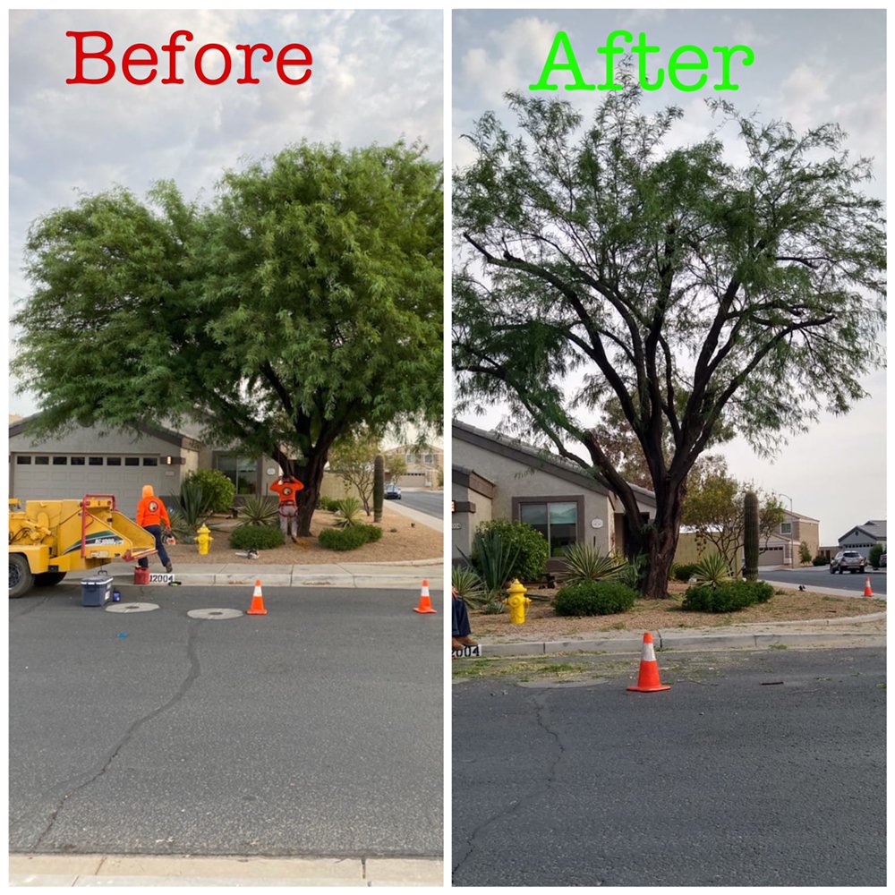 AZ TREE AND HARDSCAPE 122 Photos Surprise, AZ Yelp