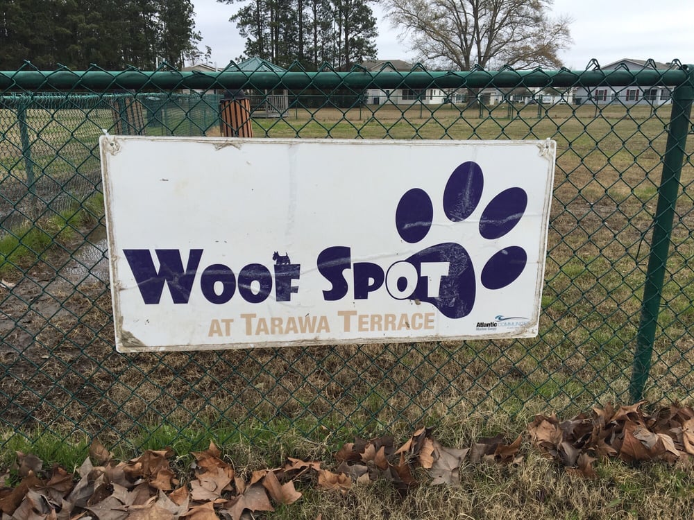 Woof Spot At Tarawa Terrace Image