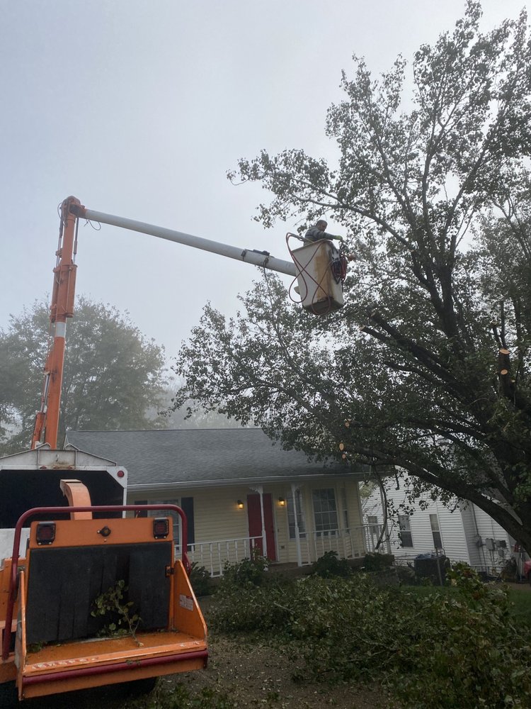 Novo Tree Expert - tree service in Nashville, TN