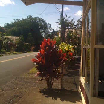 Akiko's Buddhist Bed and Breakfast - The street in front of Akiko's - Bed & Breakfast Near Me - Hakalau, Hawaii Akiko's Buddhist Bed and Breakfast - The street in front of Akiko's - Bed & Breakfast Near Me - Hakalau, Hawaii