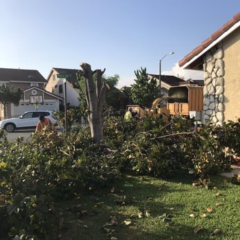 Jimmie's Tree Service - Tree Services Near Me Jimmie's Tree Service - Tree Services Near Me