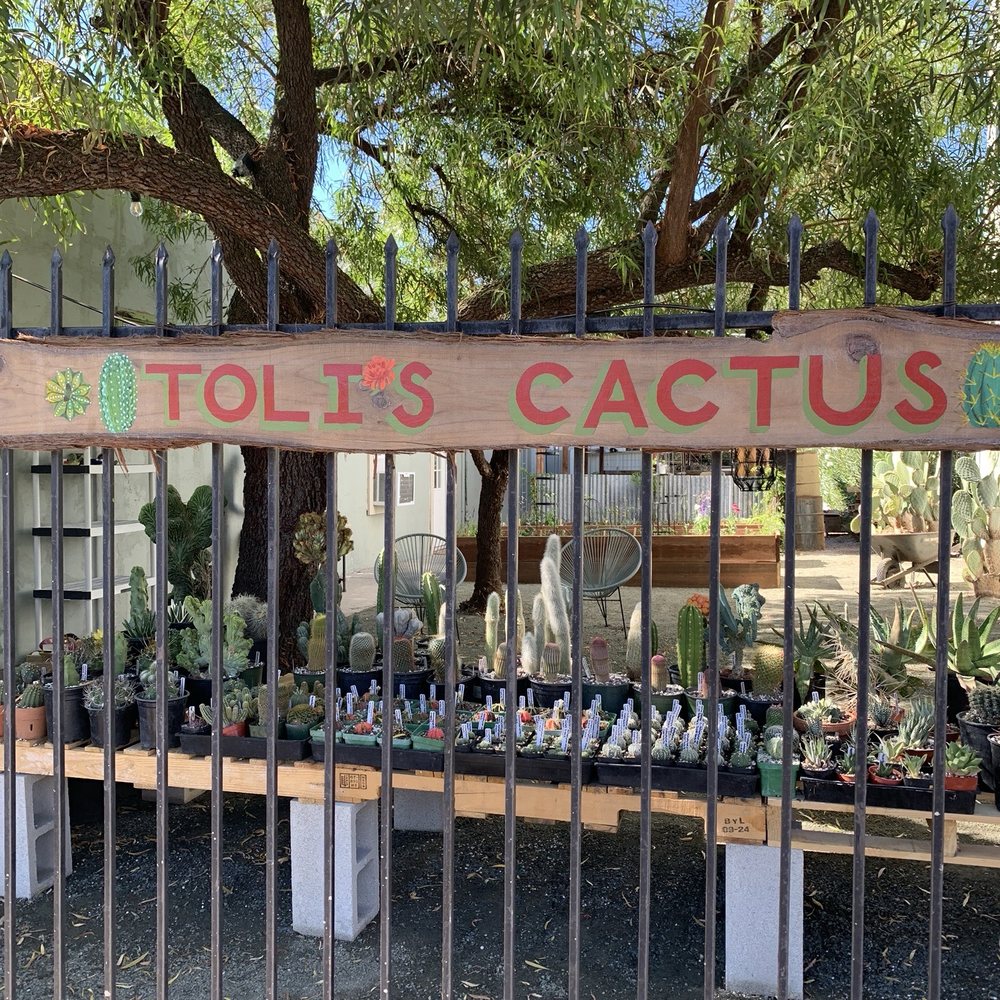 The Pottery - Art Classes Near Me - Atascadero, California The Pottery - Art Classes Near Me - Atascadero, California