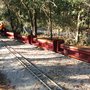 Photo of Central Pasco & Gulf Railroad