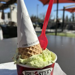 Key lime pie single scoop