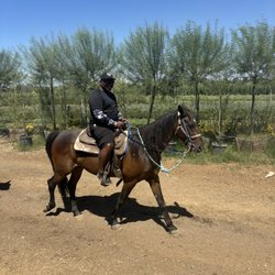 Adventures On Horseback