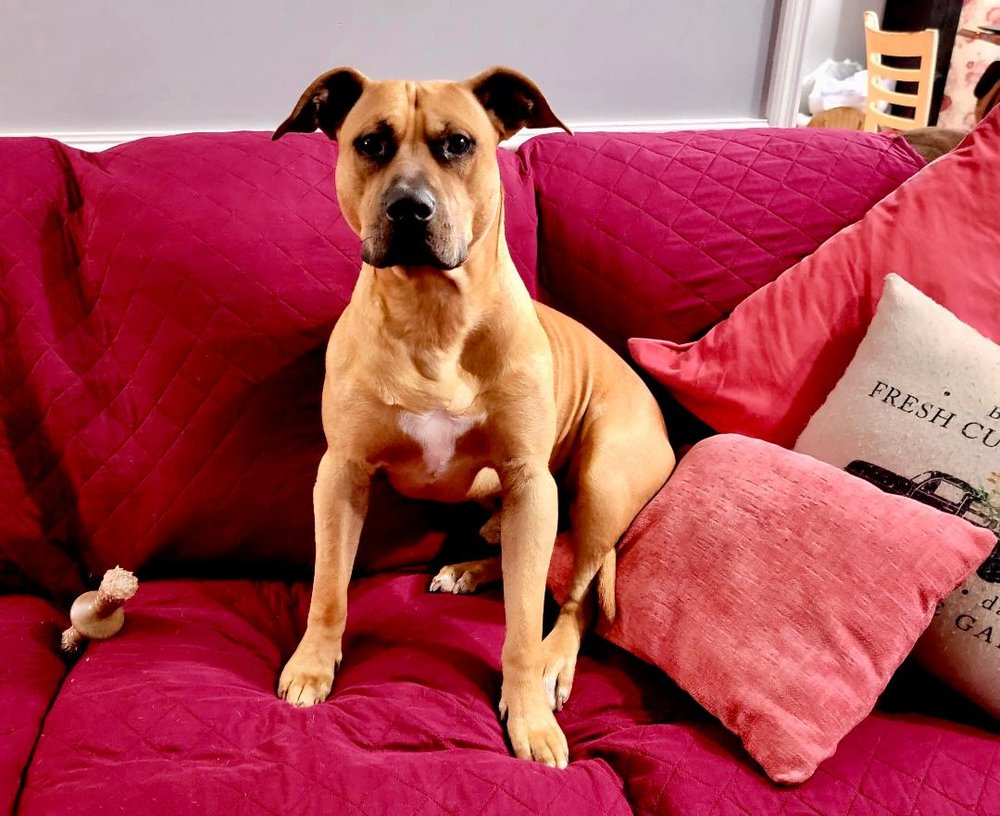 SMITH TIRE Updated August 2024 1417 Gordon Hwy, Augusta,