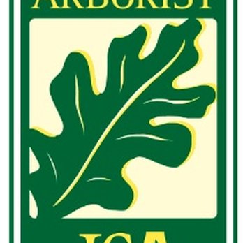 Treeinspection.Com - Staffed by ISA-Certified Arborists - Tree Services Near Me - Atlanta, Georgia Treeinspection.Com - Staffed by ISA-Certified Arborists - Tree Services Near Me - Atlanta, Georgia