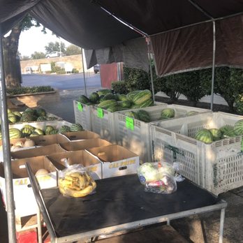 Pedrick Produce - Fruits & Veggies Near Me - Dixon, California Pedrick Produce - Fruits & Veggies Near Me - Dixon, California