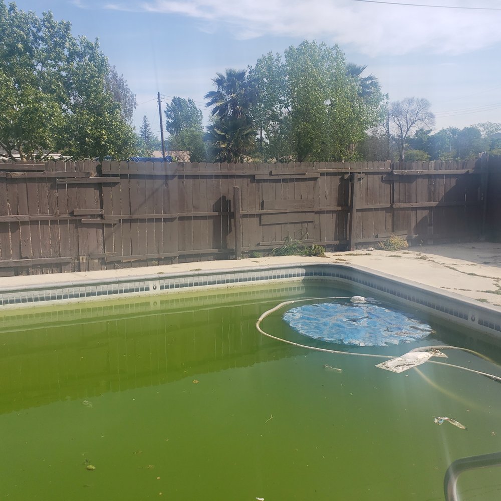 New Bridge Management - This is the swamp/pool. Notice the patched up fence behind it. My children were in the pool when the fence blew down before covid. - Property Management Near Me - Turlock, California New Bridge Management - This is the swamp/pool. Notice the patched up fence behind it. My children were in the pool when the fence blew down before covid. - Property Management Near Me - Turlock, California