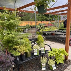 Van wingerden Greenhouses