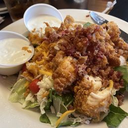 Chicken Critter Salad Chicken Critter Salad