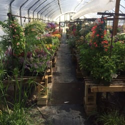 Reed's Greenhouse