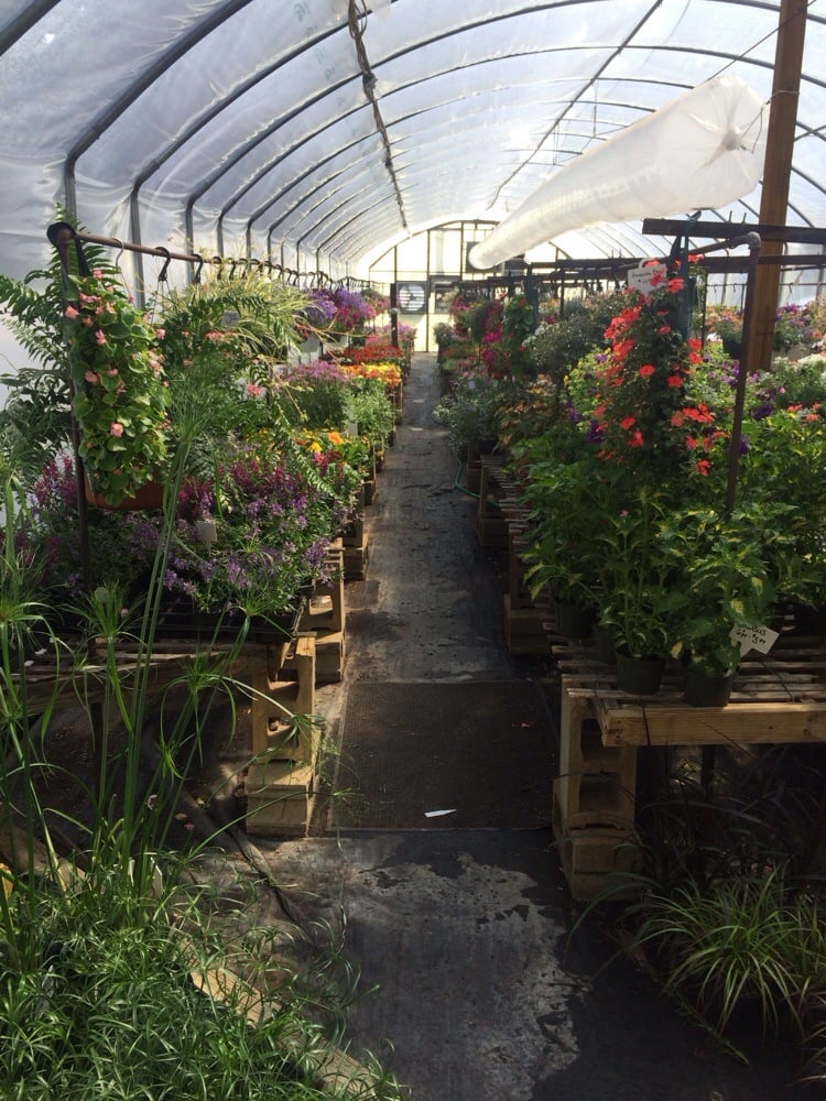 REED’S GREENHOUSE Updated June 2024 310 Stringtown Rd, Hico, West