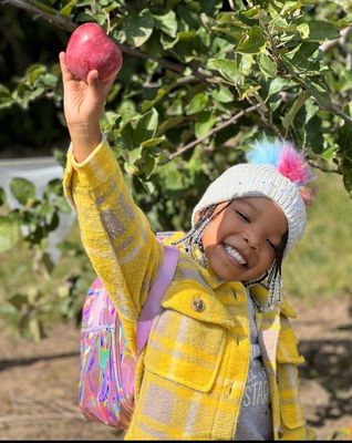 Wiard's Orchard Country Store by null
