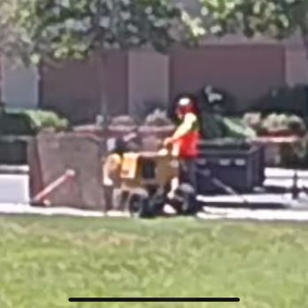 Majestic Tree Service - Stump Removal several says later, once cleared to do so. - Tree Services Near Me - San Jose, California Majestic Tree Service - Stump Removal several says later, once cleared to do so. - Tree Services Near Me - San Jose, California