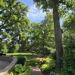 Little Bird Tree Service