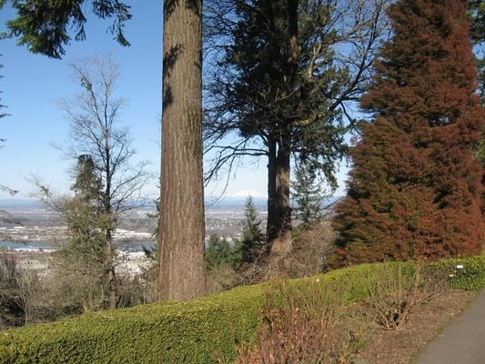 Pittock Mansion by null