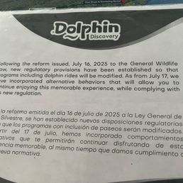 Dolphins restrictions they don't tell you about online