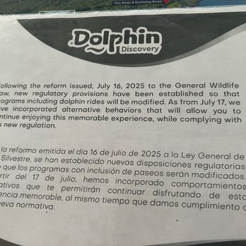 Chankanaab - Dolphins restrictions they don't tell you about online - Water Parks Near Me - Cozumel, ROO