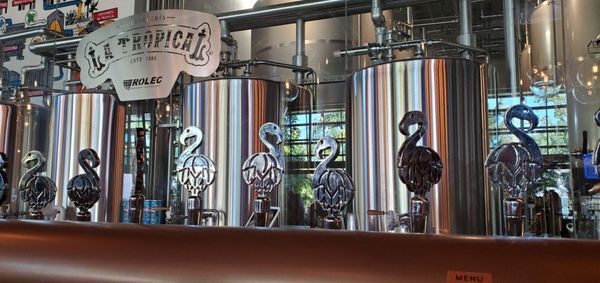 Cerveceria La Tropical by null