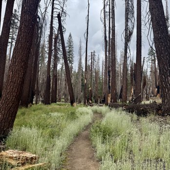 Lukens Lake - Trail - Hiking Near Me - Wawona, California