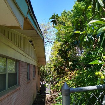 Klein Tree Service - There's now plenty of room to walk and the house is no longer being taken over. - Tree Services Near Me - Austin, Texas Klein Tree Service - There's now plenty of room to walk and the house is no longer being taken over. - Tree Services Near Me - Austin, Texas