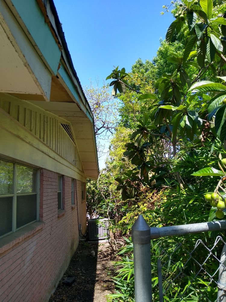 Klein Tree Service - tree service in Austin, TX